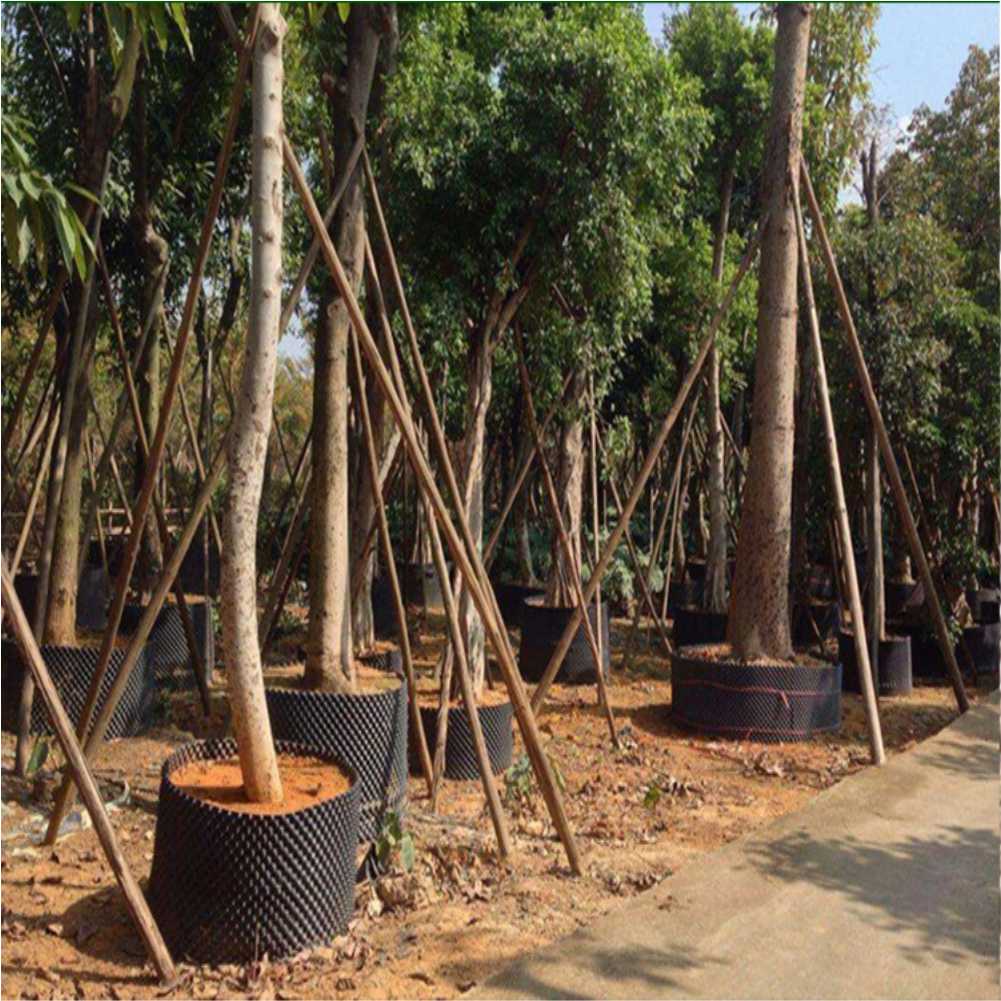 Grow Container Garden Tree Bon – обзор и цена Outdoor Furniture Set